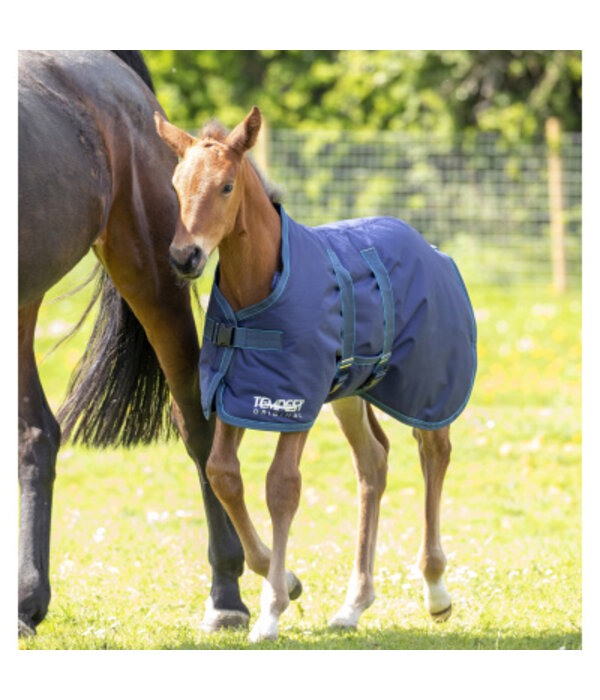 Shires Tempest Original Veulen Turnoutdeken