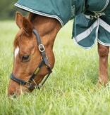 Shires Highlander Original 300 Combo