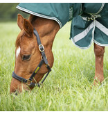 Shires Highlander Original 300 Combo