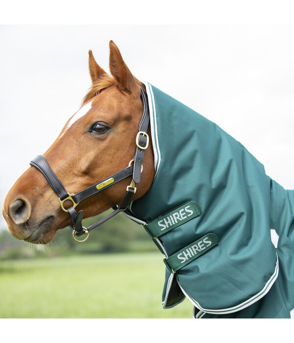 Shires Highlander Original 300 Combo