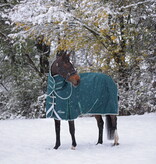 Shires Highlander Original 300 Turnout Rug & Neck Set