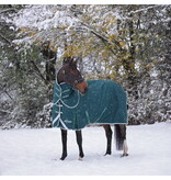 Shires Highlander Original 300 Turnout Rug & Neck Set