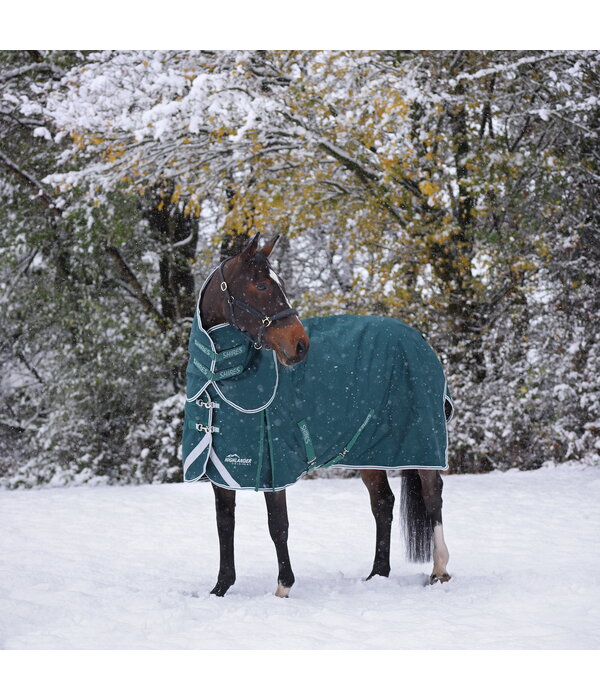 Shires Highlander Original 300 Turnout Rug & Neck Set