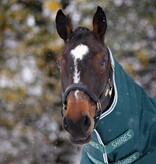 Shires Highlander Original 300 Turnout Rug & Neck Set