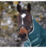 Shires Highlander Original 300 Turnout Rug & Neck Set