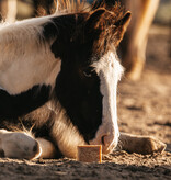 Pippa PIPPA Paardenshampoo Honey & Propolis