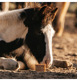 Pippa PIPPA Paardenshampoo Honey & Propolis