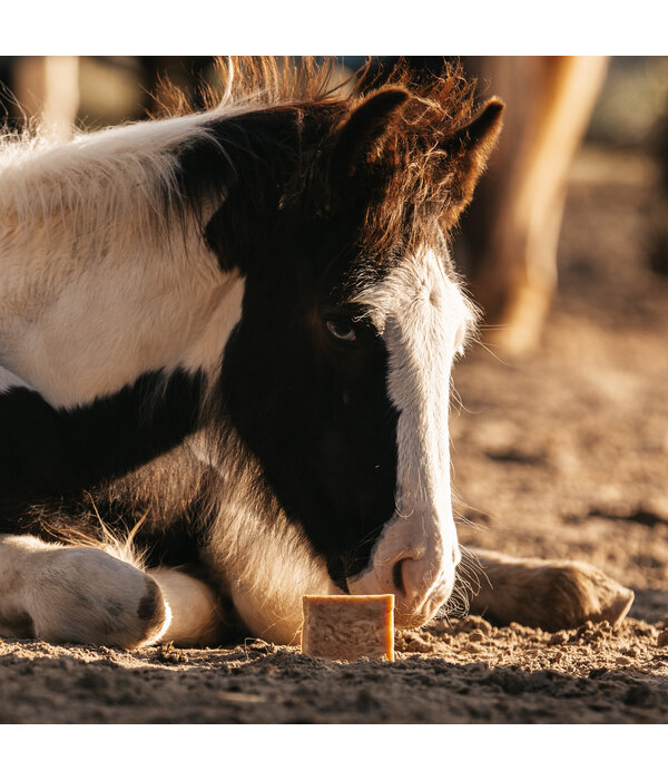 Pippa PIPPA Paardenshampoo Honey & Propolis