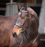 Velocity Velociti GARA hoofdstel