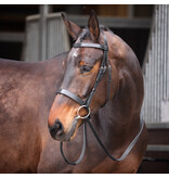 Velocity Velociti GARA hoofdstel