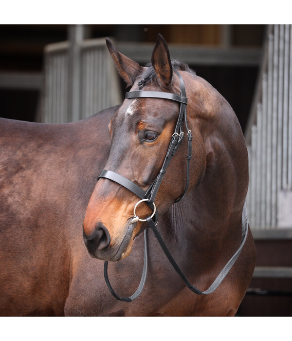 Velocity Gara Velociti GARA hoofdstel