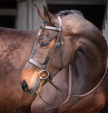 Velocity Velociti GARA hoofdstel