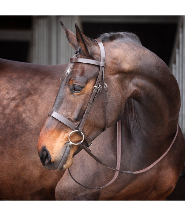 Velocity Velociti GARA hoofdstel