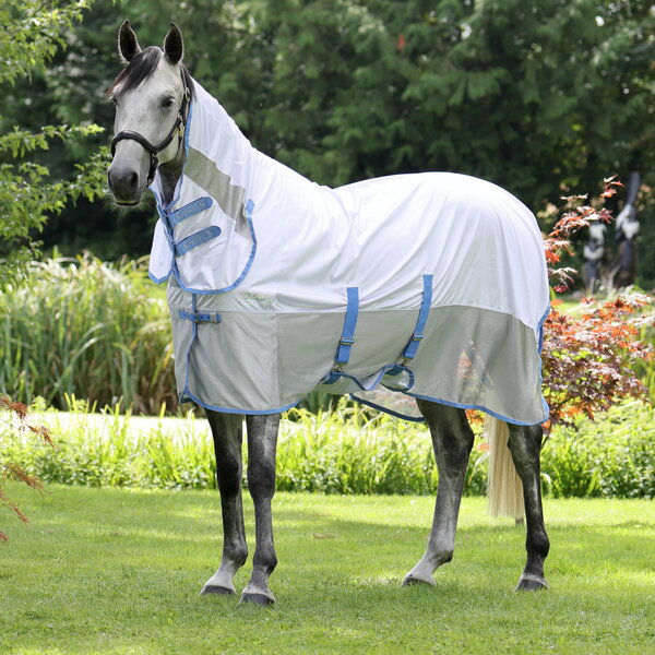 Tempest Original Fly Mesh Combo --OP VOORRAAD--