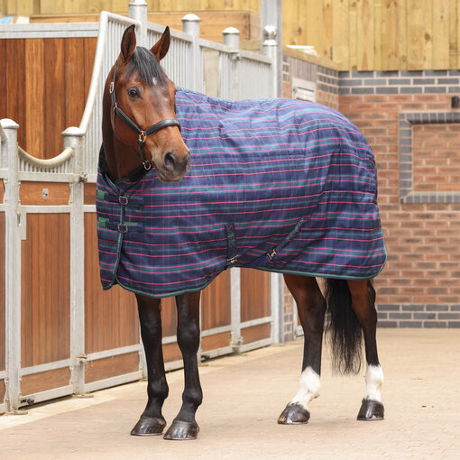 Shires Tempest Plus 100 Staldeken