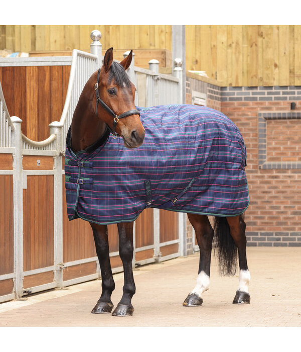 Shires Tempest Plus 100 Staldeken