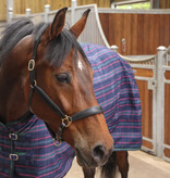 Shires Tempest Plus 100 Staldeken