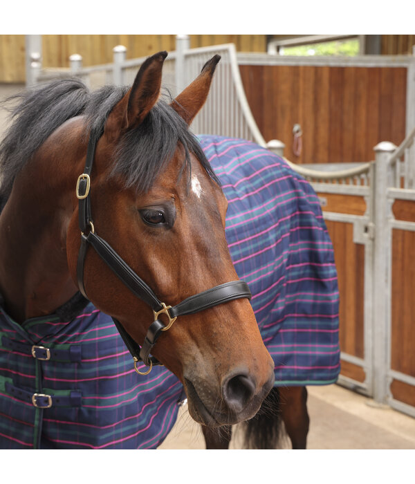 Shires Tempest Plus 100 Staldeken