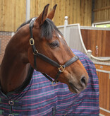 Shires Tempest Plus 100 Staldeken