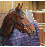 Shires Tempest Plus 100 Staldeken