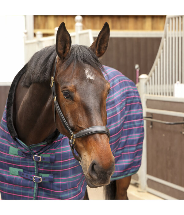 Shires Tempest Plus 100 Staldeken