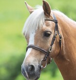 Blenheim Blenheim Clincher Show Hoofdstel