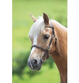 Blenheim Blenheim Clincher Show Hoofdstel