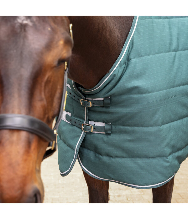 Shires Tempest Original 200 Staldeken