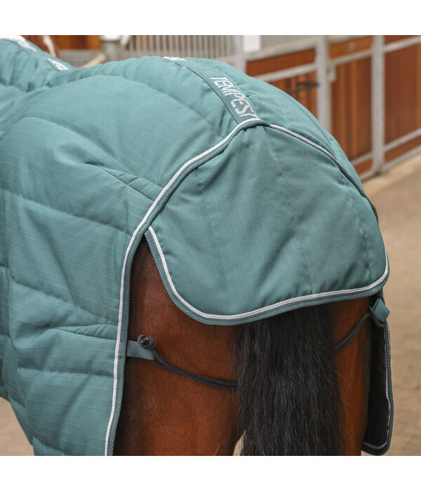 Shires Tempest Original 200 Staldeken