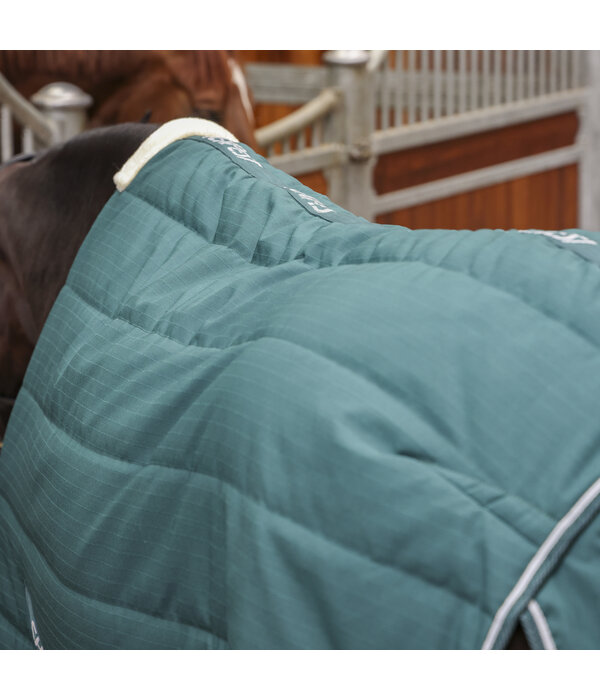 Shires Tempest Original 200 Staldeken