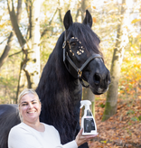 Excellent Equimatch Show Shine spray–Luxe Ontklitter & Zijdeglansspray