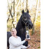 Excellent Equimatch Show Shine spray–Luxe Ontklitter & Zijdeglansspray