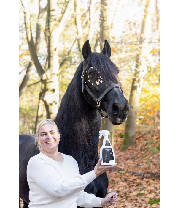 Excellent Equimatch Show Shine spray–Luxe Ontklitter & Zijdeglansspray
