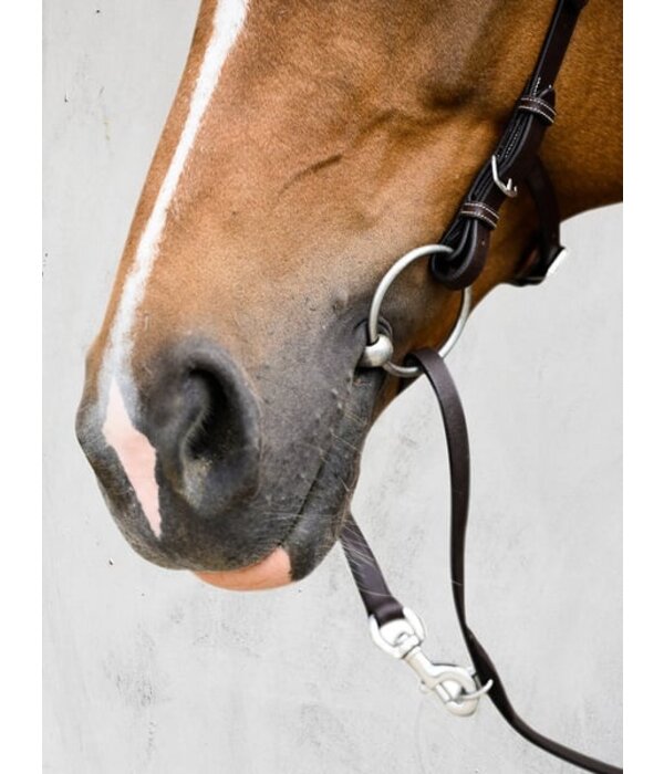 PS of Sweden Hoofdstel Helsinki - PS of Sweden