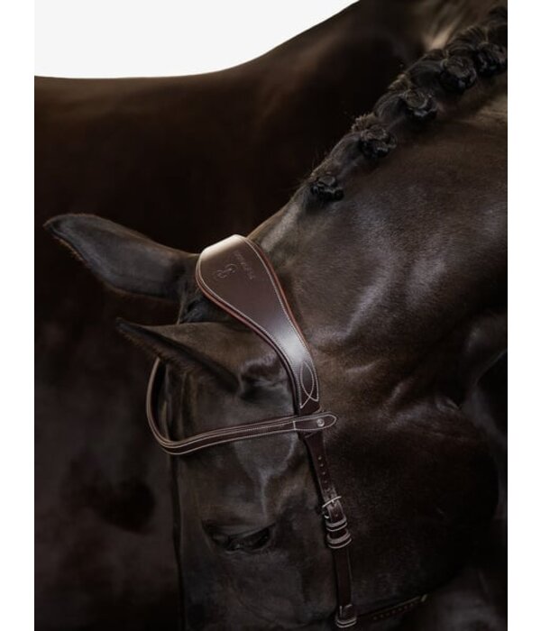 PS of Sweden Hoofdstel Helsinki - PS of Sweden