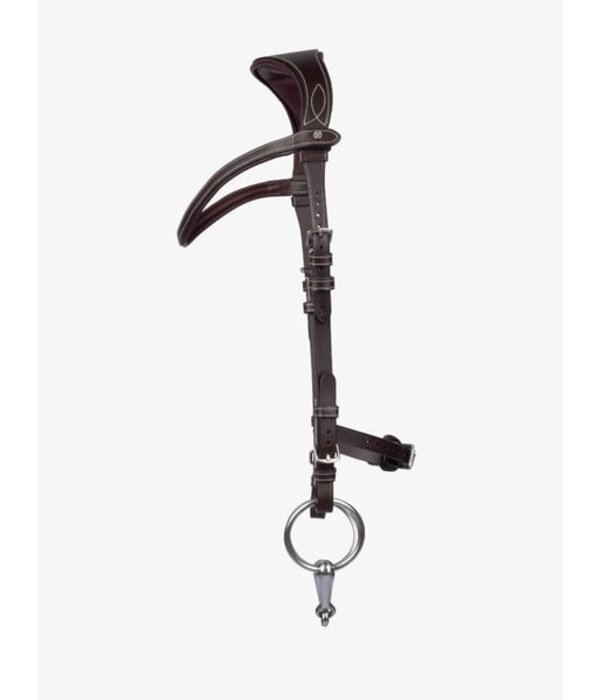 PS of Sweden Hoofdstel Helsinki - PS of Sweden