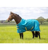 Shires Tempest Original 50