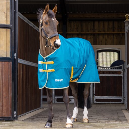 Shires Tempest Original 50