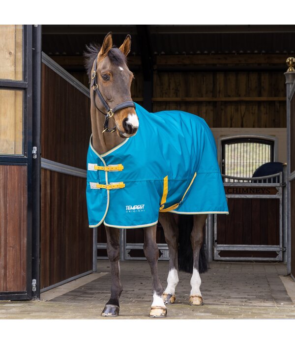Shires Tempest Original 50