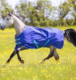 Shires Tempest Original 100