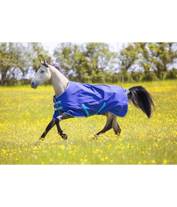 Shires Tempest Original 100