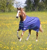 Shires Tempest Original 100