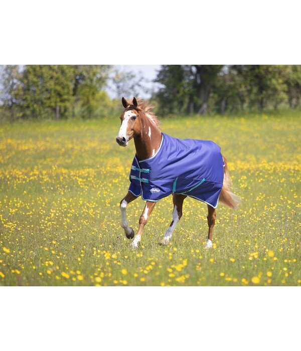 Shires Tempest Original 100