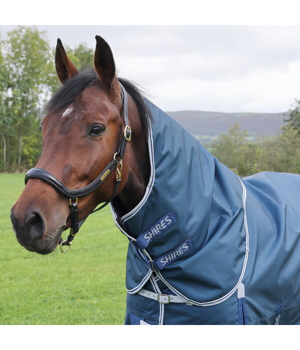 Shires Highlander Original 50 Turnout