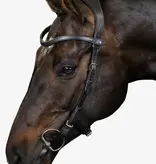 PS of Sweden Hoofdstel Helsinki - PS of Sweden