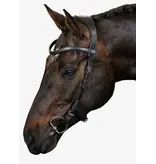 PS of Sweden Hoofdstel Helsinki - PS of Sweden