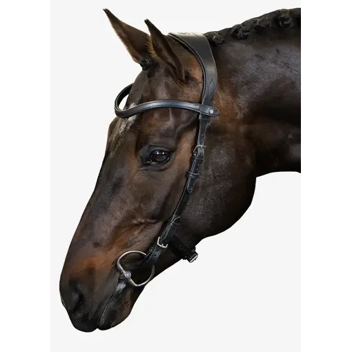 PS of Sweden Hoofdstel Helsinki - PS of Sweden