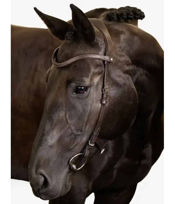 PS of Sweden Hoofdstel Helsinki - PS of Sweden