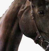 PS of Sweden Hoofdstel Helsinki - PS of Sweden