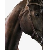 PS of Sweden Hoofdstel Helsinki - PS of Sweden